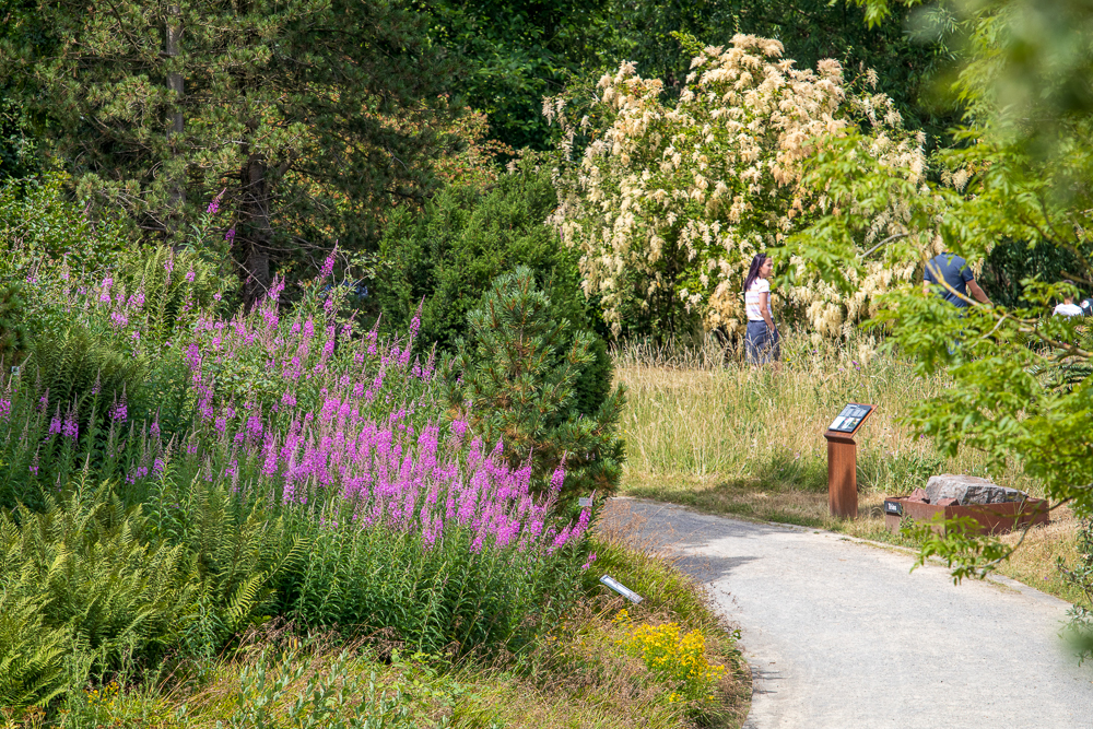 Botanischer Garten Osnabr ck Preise MDMS Botanischer Garten Osnabr ck Preise MDMS