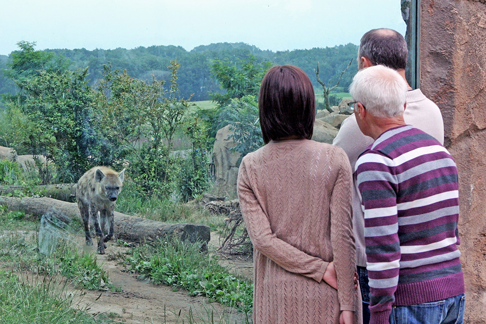 Für Zoo-Fans könnte ein Besuch am Scölerberg lohnenswert sein.
