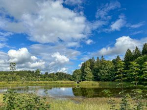 Wildwood Camping im Harz